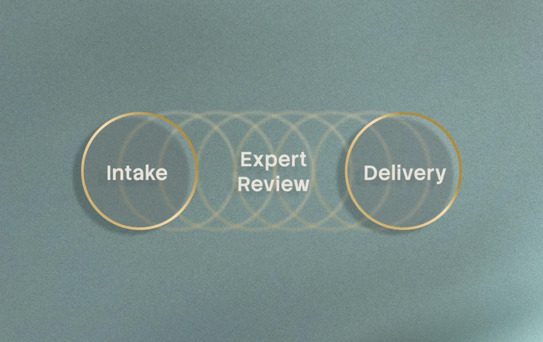 Diagram: Intake, Expert Review, and Delivery stages